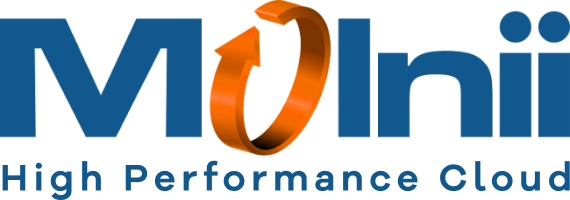 Molnii logo